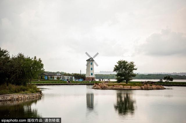 暑期去北戴河看海拾贝喂动物，乐趣满满