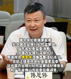 邓国强(广东反腐风暴:马王国斌、傅思伟、邓国强纷纷落马)