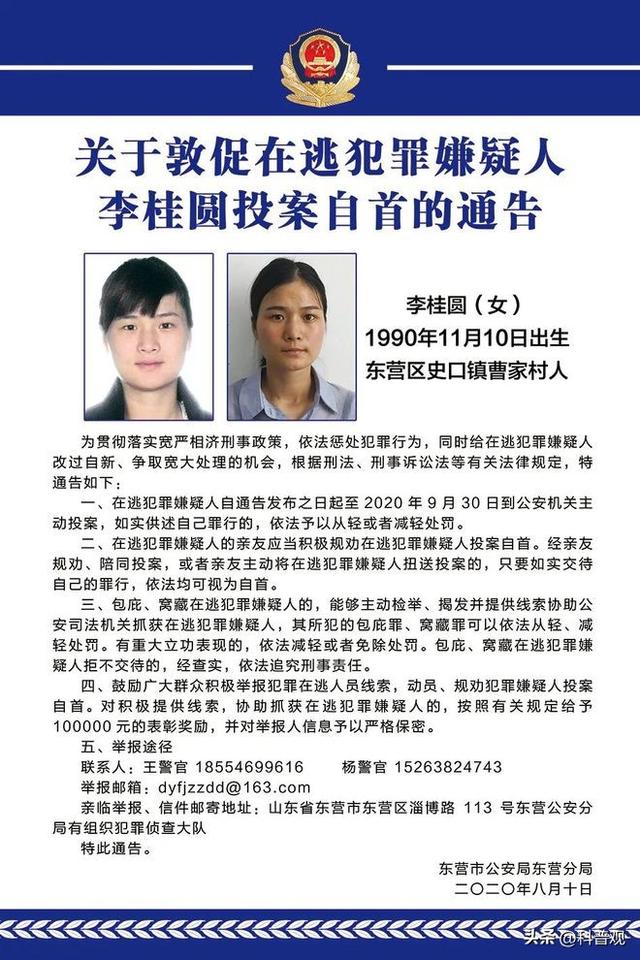 至今在逃！山东美女黑老大，心狠手辣暴力催债，警方悬赏30万通缉