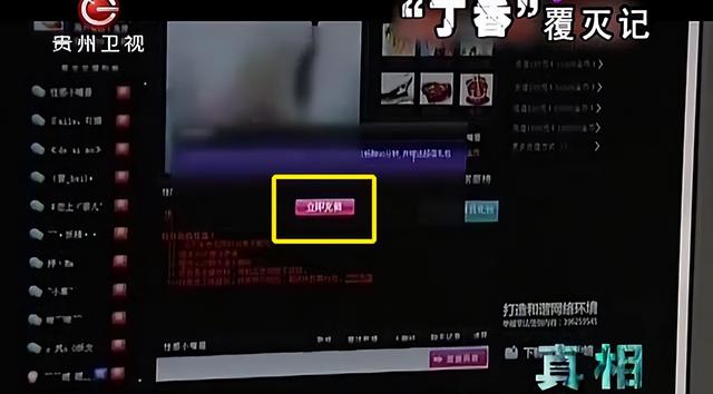 色情网站“丁香”覆灭记:7.3亿的浏览量背后,是谁在操控盈利?