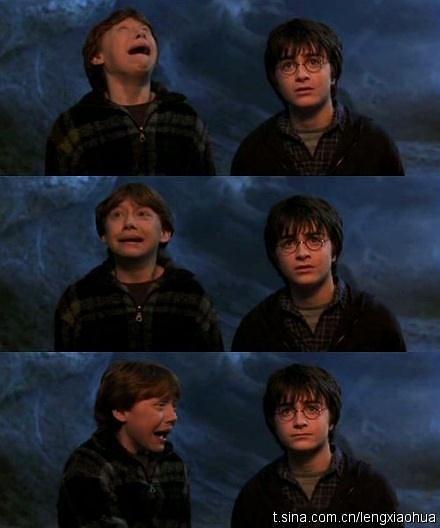 他是《哈利波特》中唯一没长残的孩子，一个被欺负的胖子