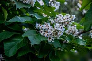 爱有多深(爱一个人有多深，心知道)