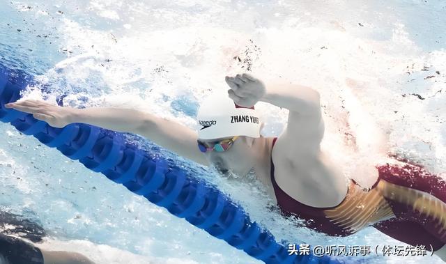 中国国家游泳队主力队员一览表