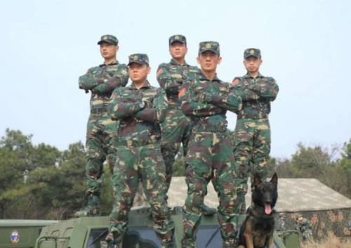 说起刘猛执导的军旅剧“特种兵系列”大盘点