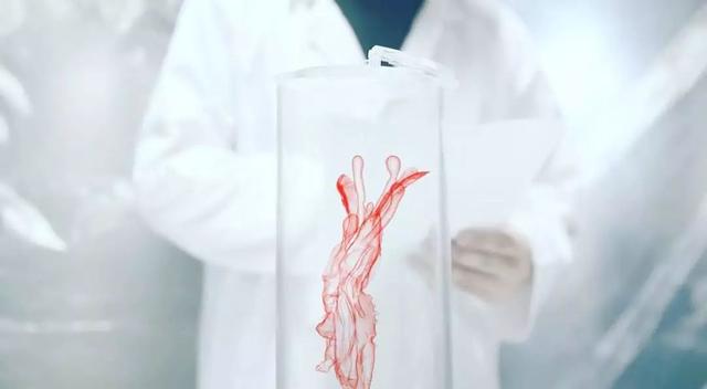 荷兰埃因霍温亚洲电影节聚焦台湾