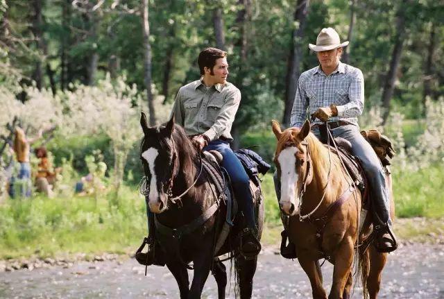 《断背山》讲的不是同性恋,而是爱