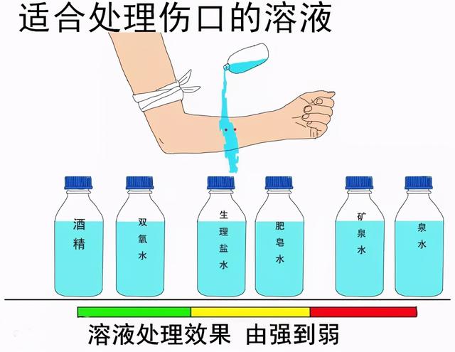 广西一公园连续6次出现银环蛇，是中国最毒的蛇，被咬了怎么办？