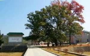 刘炎(随毛主席宣誓的6名战士,2人后来成开国将军)