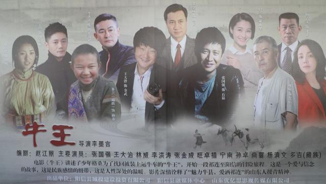 千牛万羊进山东 电影《牛王》在“牛”县阳信开机
