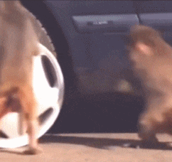 叶玉卿为艺术献身的五部电影,你要都看过,真是慧眼识珠!