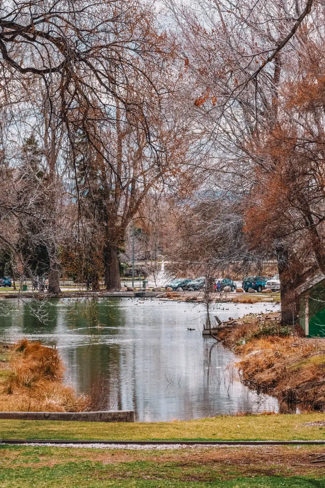 美国华人四娃妈妈失踪,被71岁丈夫谎称离家出走,遗体在后院找到