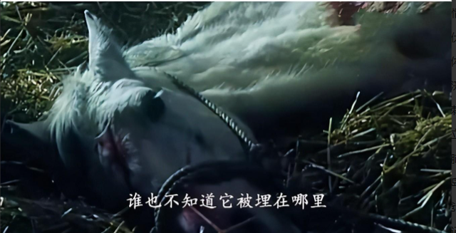 白龙马为拍摄《西游记》脱军籍，晚年惨死，杨洁导演为何见死不救