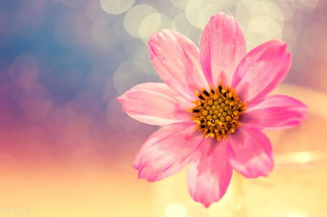 “享年”和“终年”这两个词，到底有什么区别？可千万不要用错了