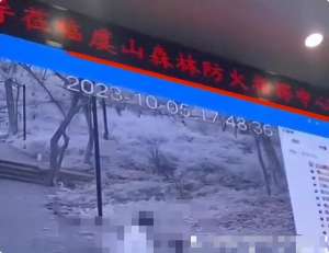 男女xx视频(常熟不雅视频后续：男女露天行为虽然不雅，但是曝光却是违法的)