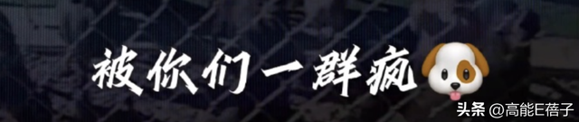 哈圈过年?法老大骂“土狗”杨和苏自认“媚粉”,发生了什么?