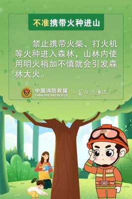 以下(进入山林区域时谨记以下几点)