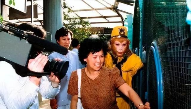 白龙马为拍摄《西游记》脱军籍，晚年惨死，杨洁导演为何见死不救