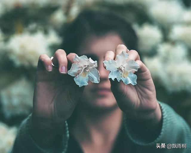 《犯心》：刑从连VS林辰，温柔是永远抗拒不了的爱意