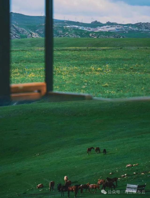 这个八月，乌兰察布非去不可！