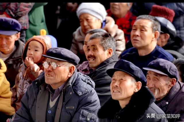 祸起萧墙（乡村家庭伦理故事）