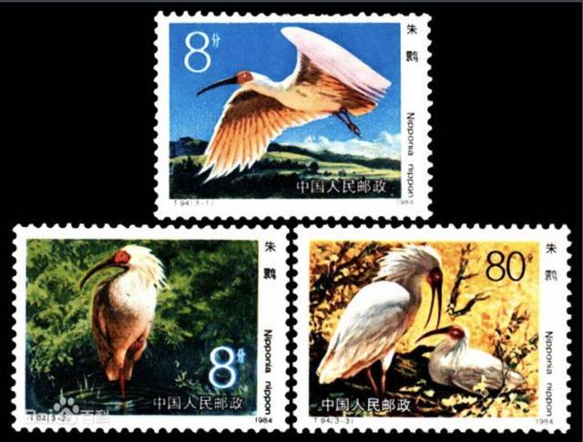 朱鹮这波邮票回忆杀戳到你了吗？