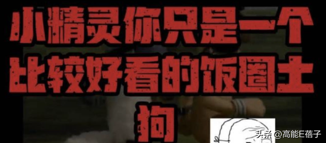 哈圈过年?法老大骂“土狗”杨和苏自认“媚粉”,发生了什么?