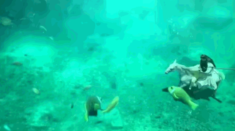 四年了，不要再捞宇文玥了