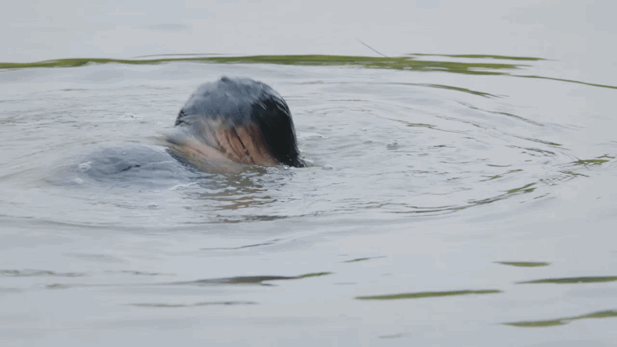 四年了，不要再捞宇文玥了
