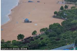 捡贝壳(暑期去北戴河看海拾贝喂动物，乐趣满满)