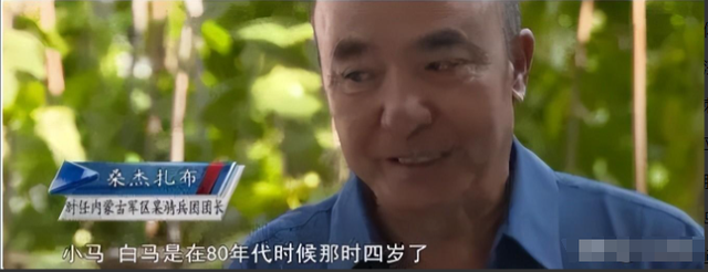 白龙马为拍摄《西游记》脱军籍，晚年惨死，杨洁导演为何见死不救