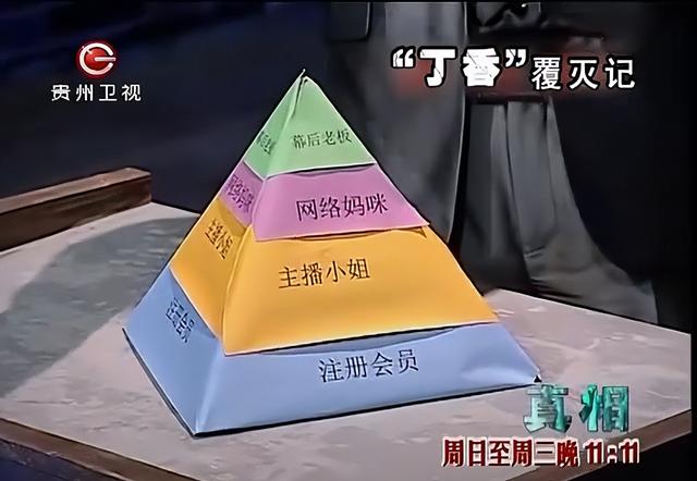 色情网站“丁香”覆灭记:7.3亿的浏览量背后,是谁在操控盈利?