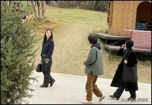 160cm周迅和159cm王子文同框，我才发现，女人的美从来和身高无关