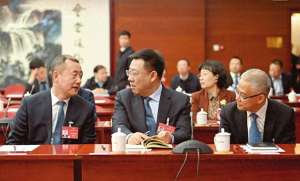 踊跃发言(踊跃发言)