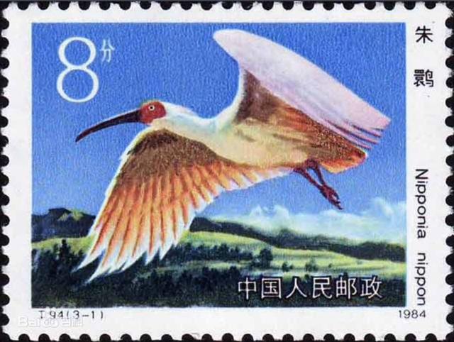 朱鹮这波邮票回忆杀戳到你了吗？