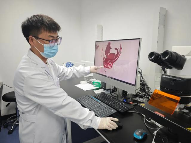 太强了！这“照相”技术