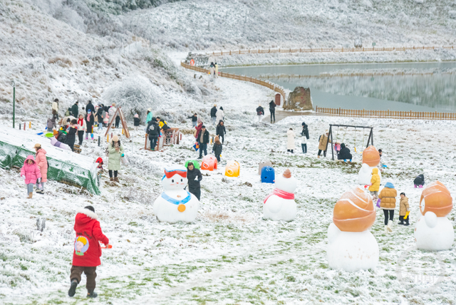 金佛山雪景引客来,周末玩雪乐翻天
