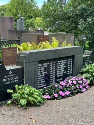 常居(在芬兰常居10年的王姐：芬兰的贫富差距大，但是高信任社会)