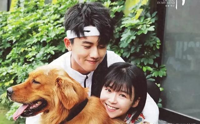 10部超级甜蜜的“甜宠爱情剧”，给生活加点糖，喜欢来看