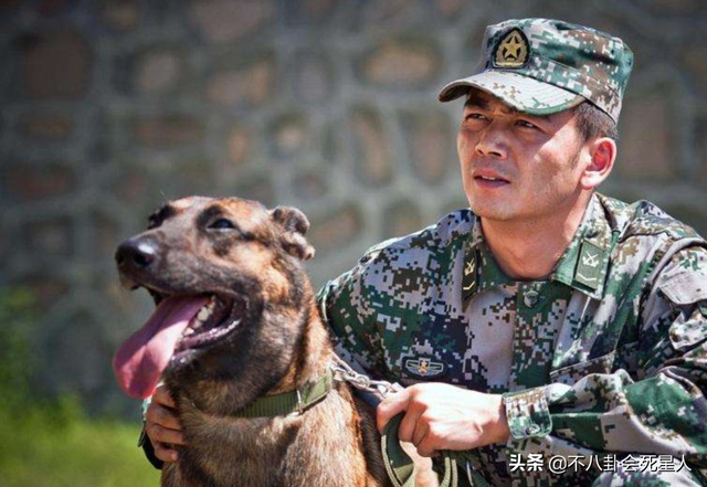 《王牌部队》看不下去，回味这6部军旅剧，《士兵突击》永远的神