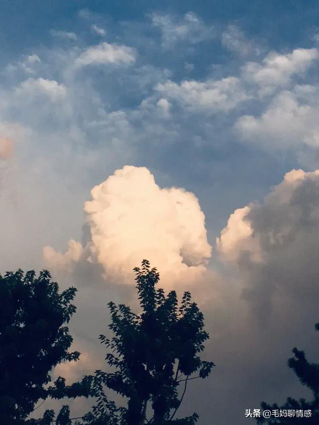 夏天的风 吹出思念的形状 樱桃 云 只有我知道，你是我的毒药。