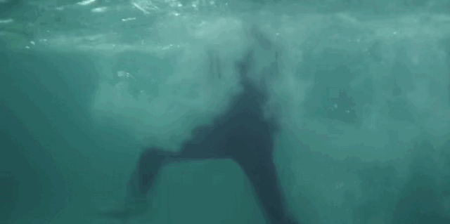 四年了，不要再捞宇文玥了