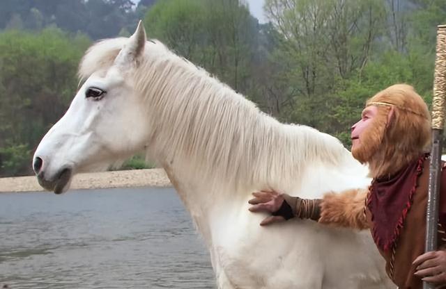 白龙马为拍摄《西游记》脱军籍，晚年惨死，杨洁导演为何见死不救