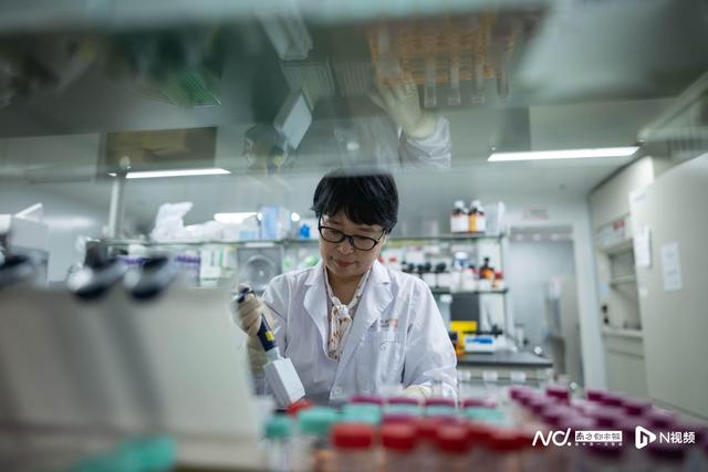 从医生变身为企业家,博士王婷婷推动全球首创抗癌药物产业化