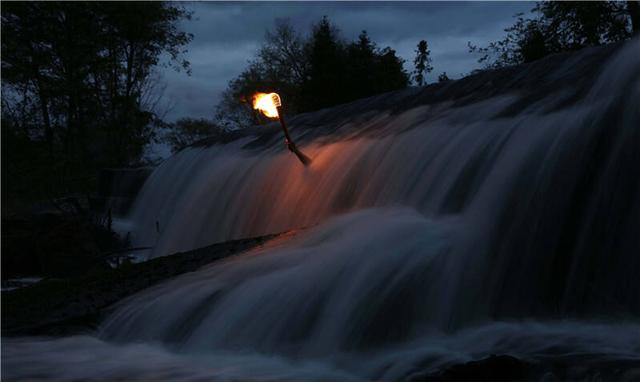 雨林植物首次展出!曾孝濂、厉槟源个展16日在昆开幕