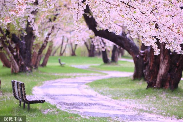夜读丨慢慢走，慢慢爱