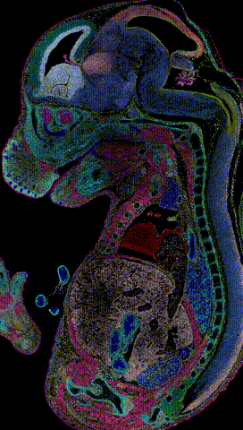 太强了！这“照相”技术