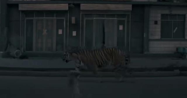 《狗阵》：彭于晏的臀，二郎神的狗，消逝的旧镇