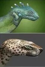 人体彩绘、人体艺术，美到极致，绝到称奇