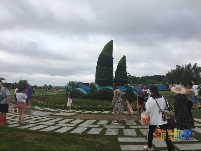 暑期去北戴河看海拾贝喂动物，乐趣满满