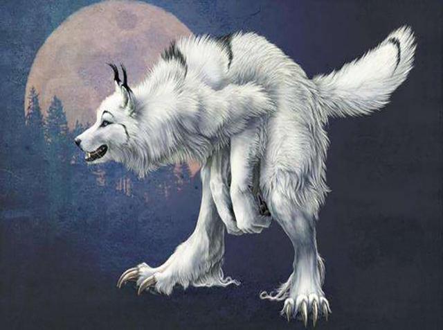 2018年美国疑似捕捉到狈？“狼狈为奸”中的狈，到底是什么动物？